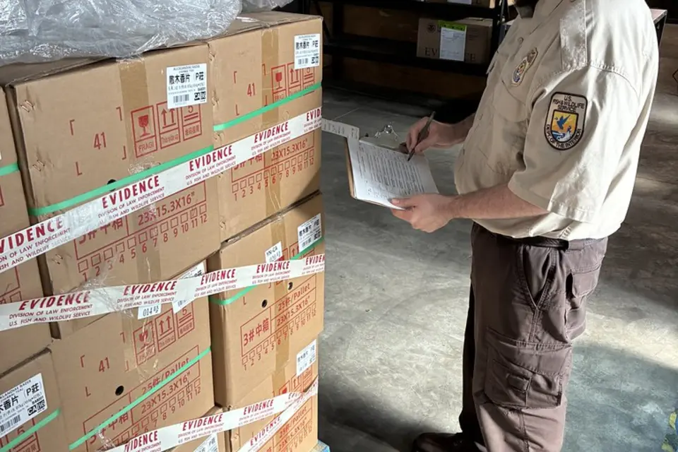 Customs Services freight image